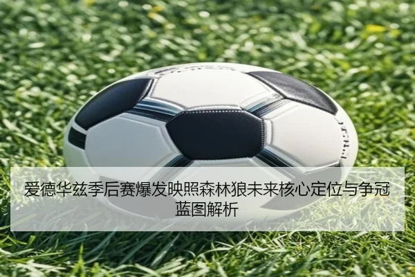 爱德华兹季后赛爆发映照森林狼未来核心定位与争冠蓝图解析