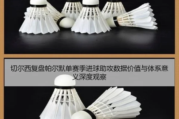 切尔西复盘帕尔默单赛季进球助攻数据价值与体系意义深度观察